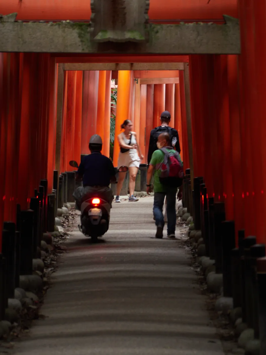 Visitors walking the torii path at Fushimi Inari